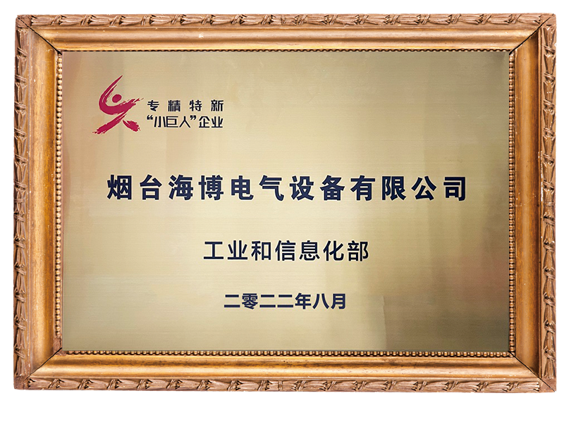 專精特新小巨人企業