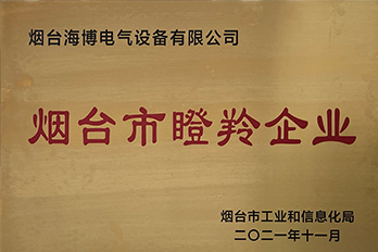 恭喜海博電氣成功獲評2021年度煙臺市瞪羚企業
